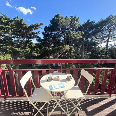 Royal Moulleau - T2 De Standing A Le Royal Moulleau, Vue Bassin Mae-9841 Daire