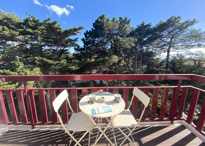 Royal Moulleau - T2 De Standing A Le Royal Moulleau, Vue Bassin Mae-9841 Apartment